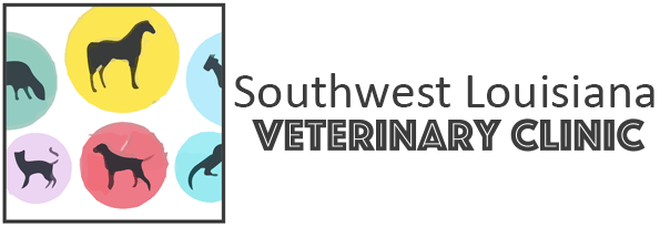 Southwest Vet